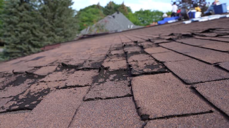 Best Wood Shake Roofing  in Dahlgren, VA