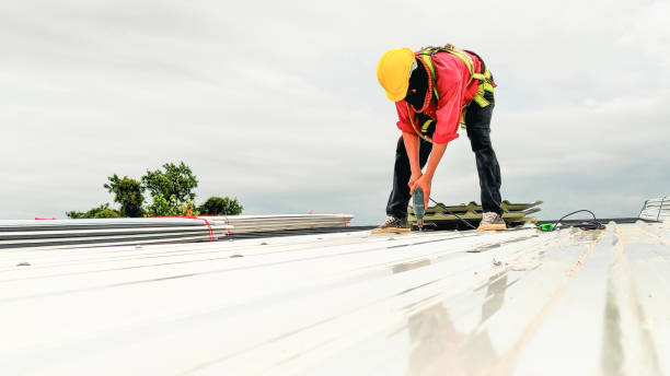 Best Metal Roofing Installation  in Dahlgren, VA